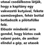 VICC: Felszállás előtt a repülő utasai csodálkozva látják, hogy a kapitány egy vakvezető kutyával