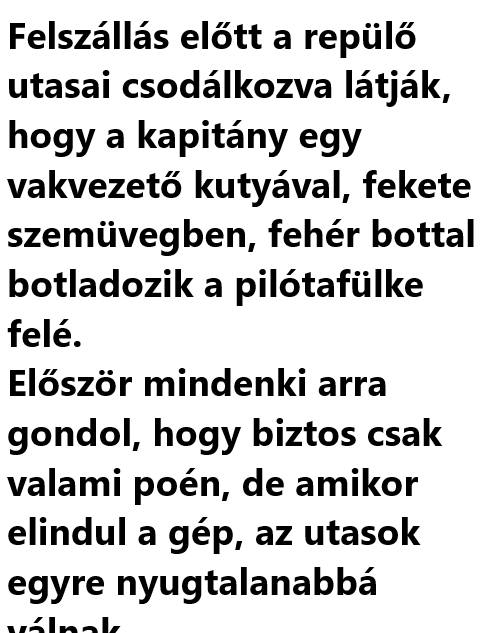 VICC: Felszállás előtt a repülő utasai csodálkozva látják, hogy a kapitány egy vakvezető kutyával