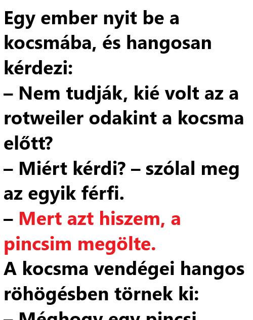 VICC: Egy ember nyit be a kocsmába, és hangosan kérdezi: