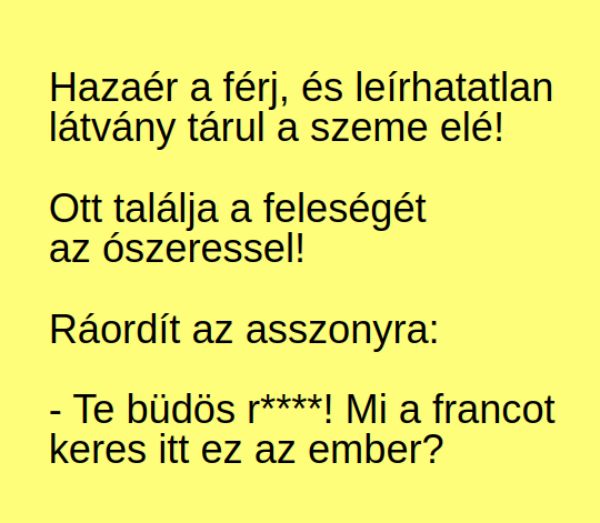 VICC: Hazaér a férj, és leírhatatlan látvány tárul a szeme elé