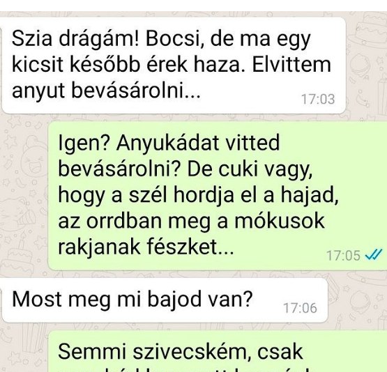 Elvittem anyut bevásárolni