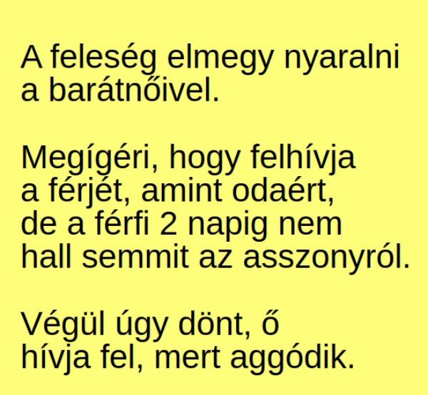 VICC: A feleség elmegy nyaralni a barátnőivel. Megígéri, hogy felhívja a férjét