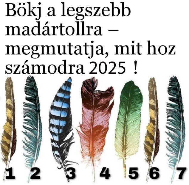 Bökj a legszebb madártollra – megmutatja, mit hoz számodra 2025!