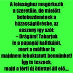 A feleséghez megérkezik a szeretője, de mielőtt belekezdenének