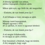VICC: A feleség féltékenységből kirúgja a szobalányt