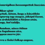 VICC: Egy nagyon jó pasi csengetett be hozzám