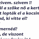 A szöszi és a kocsi lopás..