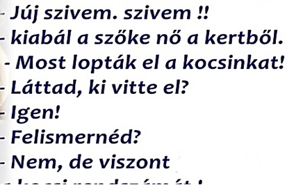 Kepernyokep_2022-02-17_11-30-41