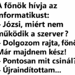 VICC: A főnök hívja az informatikust: