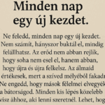Ne feledd, minden nap egy új kezdet. Nem számít, hányszor buktál el, mindig felállhatsz. Az erőd nem abban rejlik, hogy