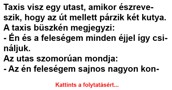Taxis-visz-egy-utast2