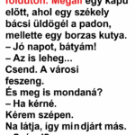 A városi ember eltéved Erdélyben, egy poros földúton. Megáll egy kapu előtt, ahol egy székely bácsi üldögél a padon