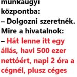 VICC: A cigány bemegy a munkaügyi központba