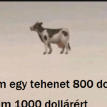 Matematikai rejtvény: Elég okos vagy, hogy megoldd?