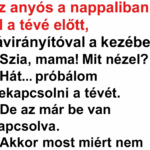 VICC: A férj hazajön, és látja, hogy az anyós a nappaliban ül a tévé előtt, távirányítóval a kezében.