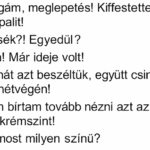 🔴 A férj hazamegy munkából, és látja, hogy a nappali tele van festékszaggal.