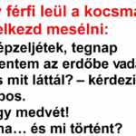 VICC: Egy férfi leül a kocsmában, és elkezd mesélni:  – Képzeljétek, tegnap kimentem az erdőbe vadászni. – És mit láttál?