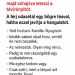 VICC: Az anyós átlapozza a tévéműsort, majd sóhajtva leteszi a távirányítót.  A férj odasétál egy bögre teával, hátha ezzel javítja a hangulatot.