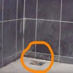 Zuhanyozni készült, majd meglátott valamit a lefolyóban, amitől ordítva szaladt.