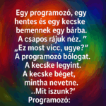 Egy programozó, egy hentes és egy kecske bemennek egy bárba.