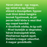 A három jóbarát a dzsungelben