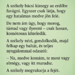 A székely meg a medve ááá