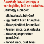 A székely bácsi bemegy a vendéglőbe, leül az asztalhoz. Odamegy a pincér: – Mit hozhatok, bátyám? capture-20250813-134921