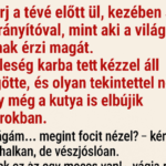 VICC: A férj a tévé előtt ül, kezében a távirányítóval, mint aki a világ urának érzi magát. A feleség karba tett kézzel áll mögötte, és olyan tekintettel néz rá, hogy még a kutya is elbújik a sarokban. capture-20250819-145445