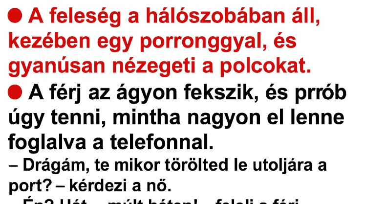 VICC: A feleség a hálószobában áll, kezében egy porronggyal, és gyanúsan nézegeti a polcokat. A férj az ágyon fekszik, és próbál úgy tenni, mintha nagyon el lenne foglalva a telefonnal. VICC: A feleség a hálószobában áll, kezében egy porronggyal, és gyanúsan nézegeti a polcokat. A férj az ágyon fekszik, és próbál úgy tenni, mintha nagyon el lenne foglalva a telefonnal.