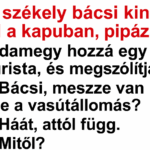 VICC: A székely bácsi kinn ül a kapuban, pipázik. Odamegy hozzá egy turista, és megszólítja: capture-20250825-134314