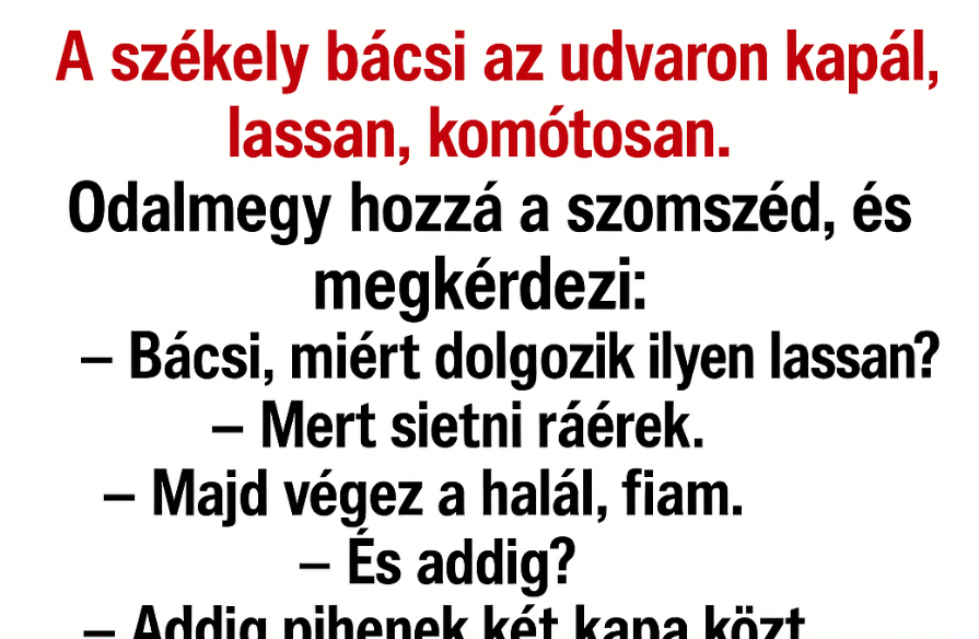 A székely bácsi az udvaron kapálgat, lassan, komótosan. Odamegy hozzá a szomszéd, és megkérdezi: A székely bácsi az udvaron kapálgat, lassan, komótosan. Odamegy hozzá a szomszéd, és megkérdezi: