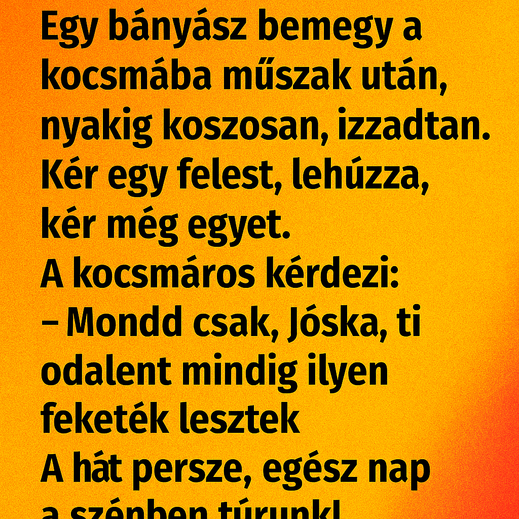 Egy bányász bemegy a kocsmába műszak után, nyakig koszosan, izzadtan. Egy bányász bemegy a kocsmába műszak után, nyakig koszosan, izzadtan.