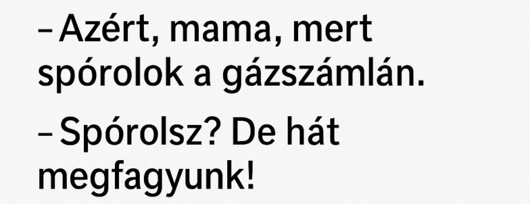 Az anyós meglátogatja a vejét, és belépéskor rögtön megszólal.  – Fiam, itt hideg van, miért nem fűtesz rendesen?