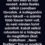 Fizetés nélkül távoztak – de a valóság egészen más volt, mint gondoltuk 549156097_122265999692224898_5289693670008929048_n