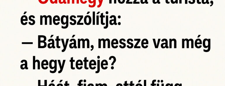 A székely bácsi a kapuban áll, kezében a botja.  Odamegy hozzá a turista, és megszólítja: