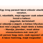 Egy öreg paraszt bácsi először utazik vonaton. capture-20250908-133008