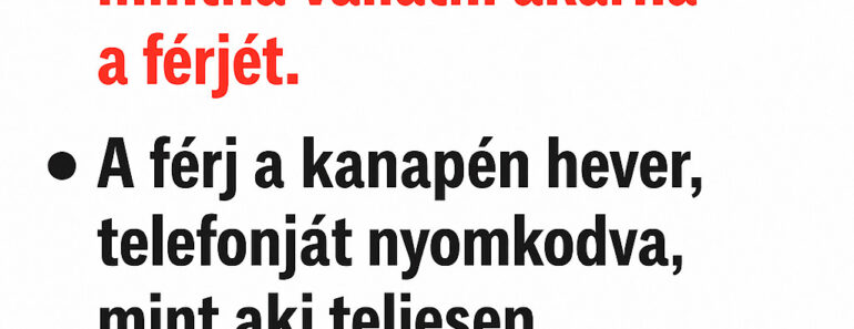 A feleség a nappaliban áll, kezében a porszívóval, mintha vallatni akarná a férjét.  A férj a kanapén hever, telefonját nyomkodva, mint aki teljesen ártatlannak tűnik.