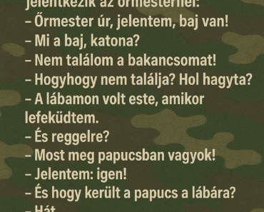 Egy újonc katona kiképzésen jelentkezik az őrmesternél: Egy újonc katona kiképzésen jelentkezik az őrmesternél: