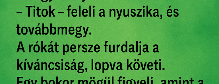 A nyuszika sétál az erdőben, kezében egy hatalmas szatyor.