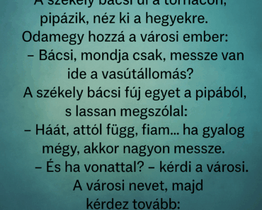 A székely bácsi ül a tornácon, pipázik, néz ki a hegyekre. Odamegy hozzá a városi ember: A székely bácsi ül a tornácon, pipázik, néz ki a hegyekre. Odamegy hozzá a városi ember: