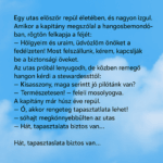 Egy utas először repül életében, és nagyon izgul. t