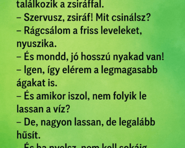 A nyuszika sétál az erdőben, találkozik a zsiráffal. A nyuszika sétál az erdőben, találkozik a zsiráffal.