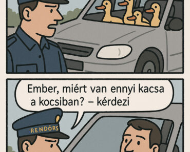 Két rendőrt kiküldenek egy iskolába előadást tartani. Az egyik tanár viccből felír egy példát a táblára: – Biztos urak, mennyi kettő meg kettő? Az egyik rendőr gyorsan rávágja: Két rendőrt kiküldenek egy iskolába előadást tartani. Az egyik tanár viccből felír egy példát a táblára: – Biztos urak, mennyi kettő meg kettő? Az egyik rendőr gyorsan rávágja: