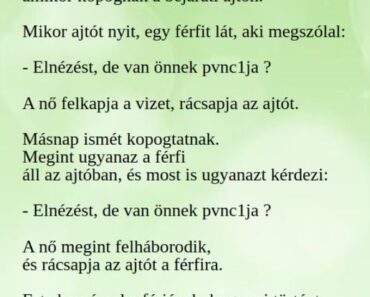 VICC: A feleség féltékenységből kirúgja a szobalányt