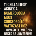 Sorsfordító numerológiai jóslat: 11 csillagjegy új életutat kap az Univerzumtól! 415393d3-b7aa-4090-9917-3d961338424c