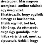 VICC: Két csiga megy a sivatagban 452928845_530082759347179_7053929474768919816_n-1