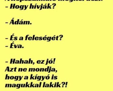 Vicc: A népszámláló becsönget Ádámhoz Vicc: A népszámláló becsönget Ádámhoz