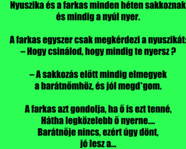 VICC: A nyuszika és a farkas sakkoznak VICC: A nyuszika és a farkas sakkoznak