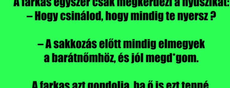 VICC: A nyuszika és a farkas sakkoznak