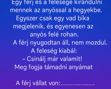 Egy férj és a felesége kirándulni mennek az anyóssal a hegyekbe. Egy férj és a felesége kirándulni mennek az anyóssal a hegyekbe.